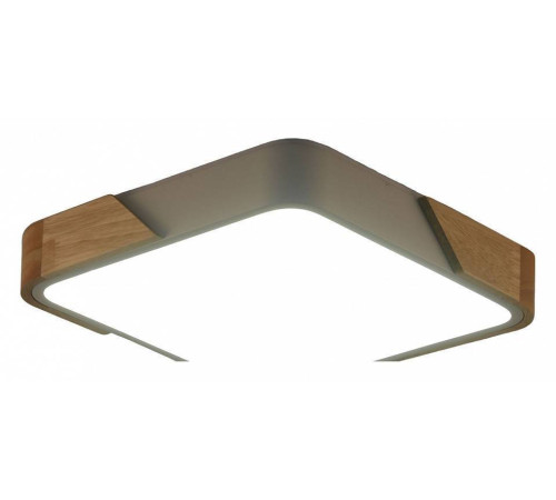 Накладной светильник Zortes ALBERRO ZRS.01285.36