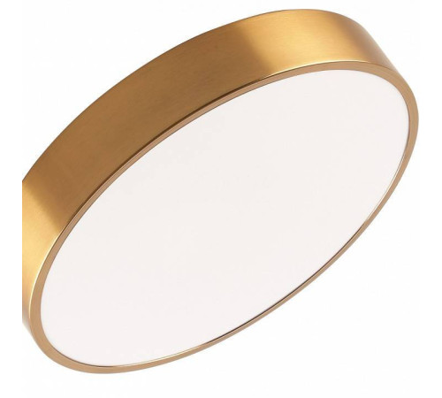 Накладной светильник Zortes Tortty ZRS.02566.48