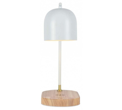 Настольная лампа офисная Zortes DESKLIGHT ZRS.1066.02