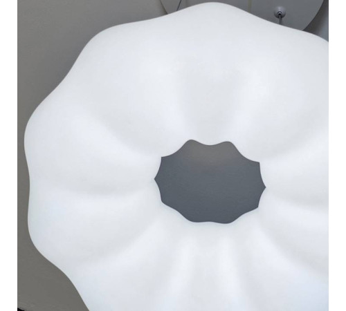 Подвесной светильник Zortes SOFT ZRS.1119.01