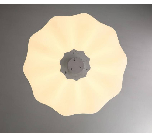 Подвесной светильник Zortes SOFT ZRS.1119.02