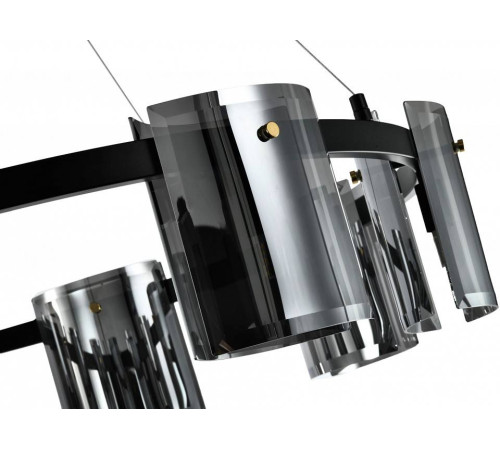 Подвесная люстра Zortes RONY ZRS.1209.08