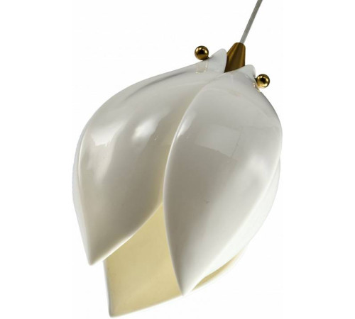 Подвесной светильник Zortes DALIN ZRS.90609.01