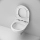 Унитаз подвесной AM.PM Spirit V2.0 FlashClean с сиденьем микролифт C901700SC