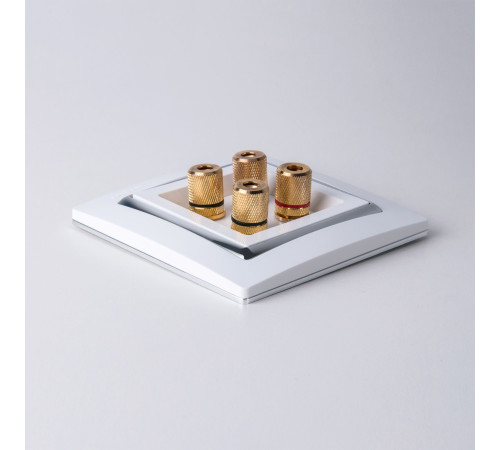 Акустическая розетка (белый) W1185001