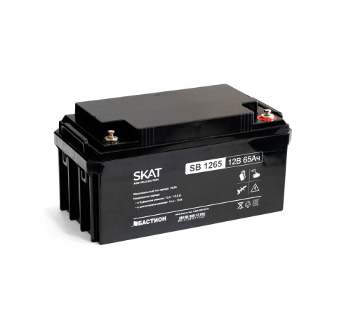Аккумулятор свинцово-кислотный Бастион SKAT SB 1265 AGM 12 В 65 Ач 2541