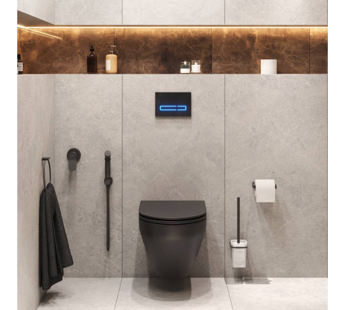 Комплект инсталляция с подвесным унитазом AM.PM CK70GH