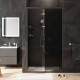 Душевая дверь в нишу AM.PM Gem 110х195 см раздвижная W90G-110-1-195BG