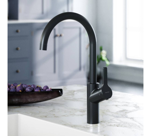 Смеситель для кухни AM.PM Eclipse матовый черный 310720300