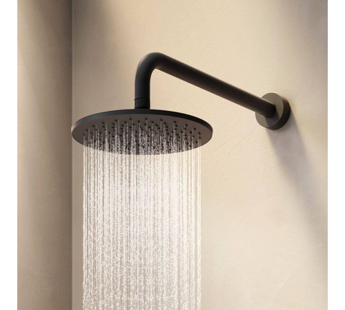 Верхний душ AM.PM Gem 220 мм черный F0590022