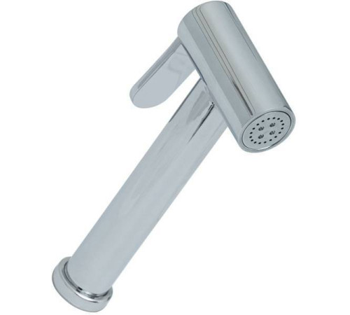 Гигиеническая лейка Allen Brau Priority хром 5.31028-00