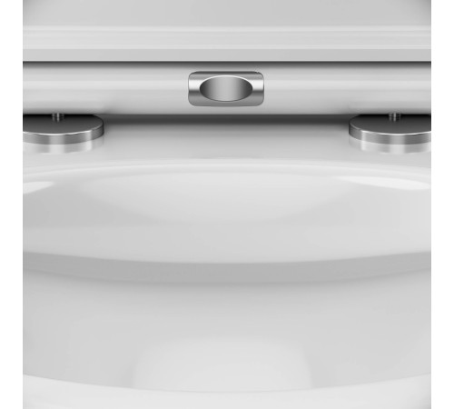 Унитаз подвесной AM.PM Spirit V2.0 FlashClean с сиденьем микролифт C901700SC