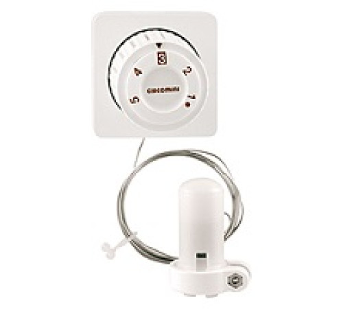 Термостатическая головка Giacomini R463 с выносным датчиком 5 м R463X005