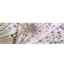 Декор Ceramica Konskie Luna bis A 25x75 см х9999041284
