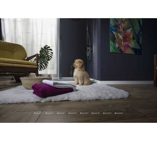 Душевая дверь в нишу Aquanet Cinetic 900 мм хром прозрачная 6 мм AE12-N-90H190U-CT