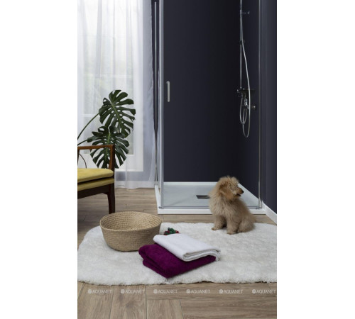 Душевая дверь в нишу Aquanet Cinetic 900 мм хром прозрачная 6 мм AE12-N-90H190U-CT