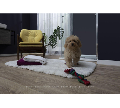 Душевая дверь в нишу Aquanet Cinetic 900 мм хром прозрачная 6 мм AE12-N-90H190U-CT