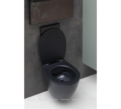 Унитаз подвесной Allen Brau FANTASY Rimless 510x363 мм черный матовый 4.11004.31