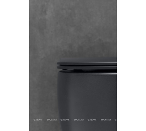 Унитаз подвесной Allen Brau FANTASY Rimless 510x363 мм черный матовый 4.11004.31