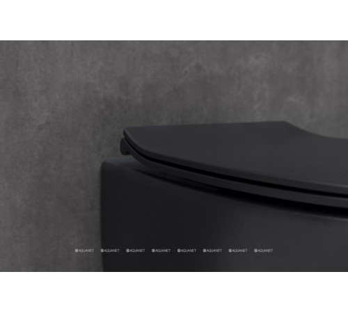 Унитаз подвесной Allen Brau FANTASY Rimless 510x363 мм черный матовый 4.11004.31