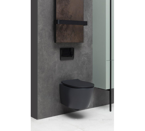 Унитаз подвесной Allen Brau FANTASY Rimless 510x363 мм черный матовый 4.11004.31