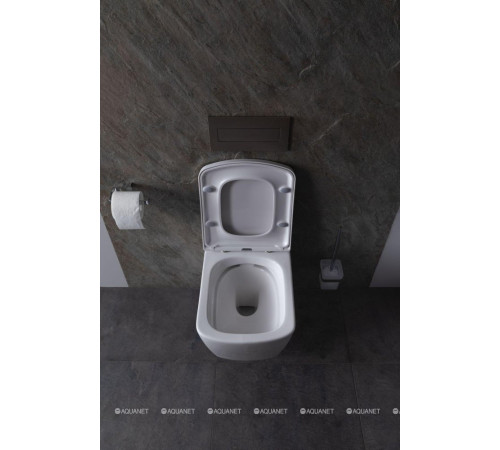 Унитаз подвесной Allen Brau LIBERTY Rimless без сиденья 500x360 мм белый 4.33004.20