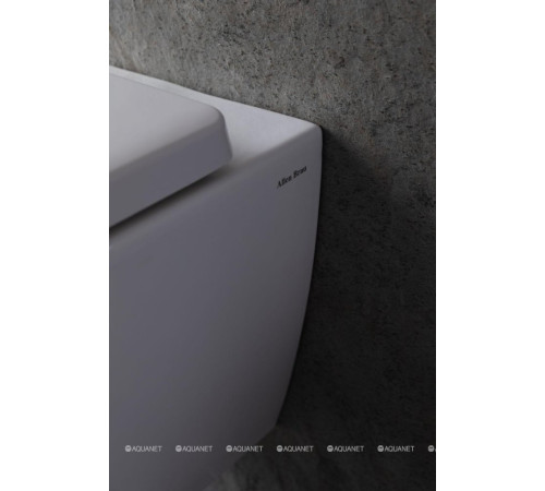 Унитаз подвесной Allen Brau LIBERTY Rimless без сиденья 500x360 мм белый 4.33004.20