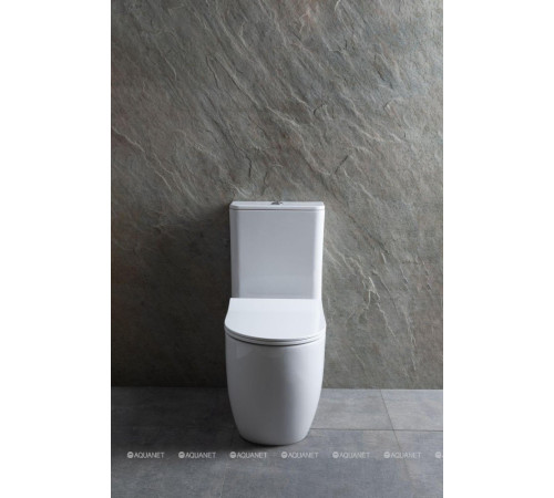 Чаша для унитаза напольного Allen Brau PRIORITY 2 Rimless без сиденья 4.31003.20