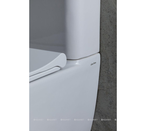 Чаша для унитаза напольного Allen Brau PRIORITY 2 Rimless без сиденья 4.31003.20