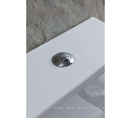 Чаша для унитаза напольного Allen Brau PRIORITY 2 Rimless без сиденья 4.31003.20