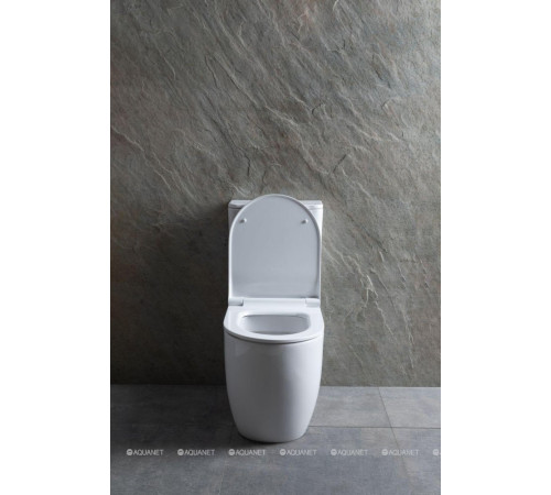 Чаша для унитаза напольного Allen Brau PRIORITY 2 Rimless без сиденья 4.31003.20