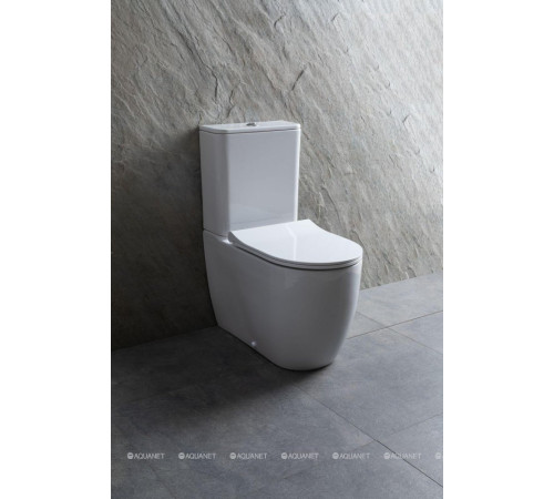 Чаша для унитаза напольного Allen Brau PRIORITY 2 Rimless без сиденья 4.31003.20