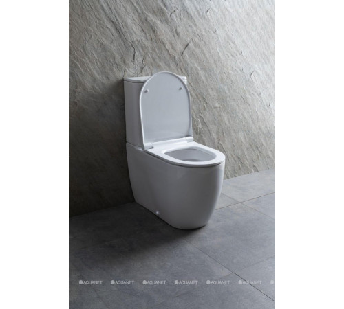 Чаша для унитаза напольного Allen Brau PRIORITY 2 Rimless без сиденья 4.31003.20