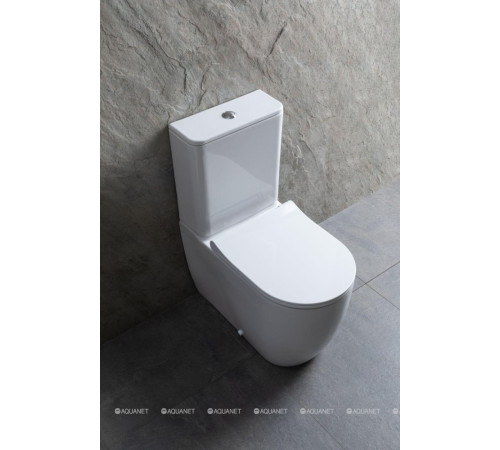 Чаша для унитаза напольного Allen Brau PRIORITY 2 Rimless без сиденья 4.31003.20