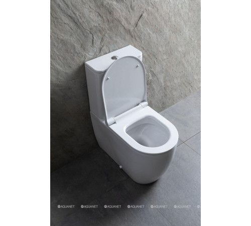 Чаша для унитаза напольного Allen Brau PRIORITY 2 Rimless без сиденья 4.31003.20