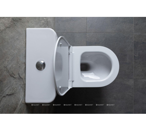 Чаша для унитаза напольного Allen Brau PRIORITY 2 Rimless без сиденья 4.31003.20