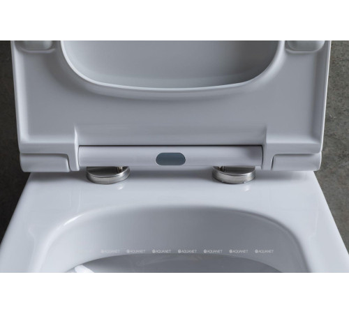 Чаша для унитаза напольного Allen Brau PRIORITY 2 Rimless без сиденья 4.31003.20