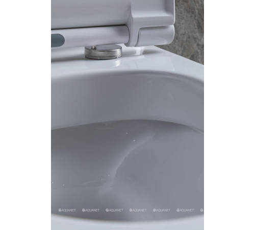 Чаша для унитаза напольного Allen Brau PRIORITY 2 Rimless без сиденья 4.31003.20