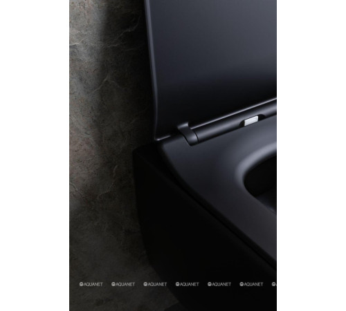 Унитаз подвесной Allen Brau LIBERTY 2 Rimless без сиденья 518х370 мм черный матовый 4.33007.31