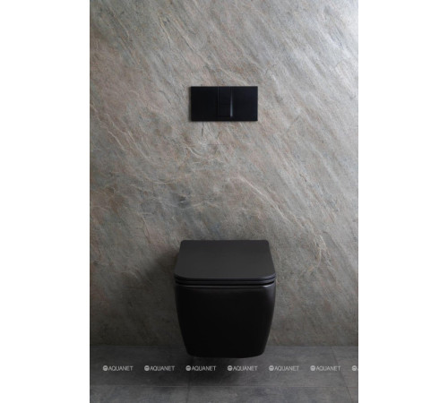 Унитаз подвесной Allen Brau LIBERTY 2 Rimless без сиденья 518х370 мм черный матовый 4.33007.31