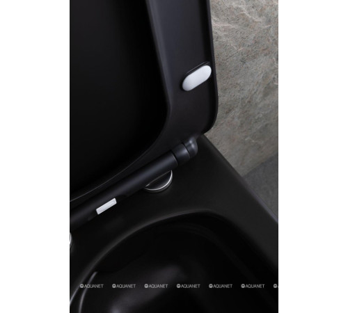 Унитаз подвесной Allen Brau LIBERTY 2 Rimless без сиденья 518х370 мм черный матовый 4.33007.31