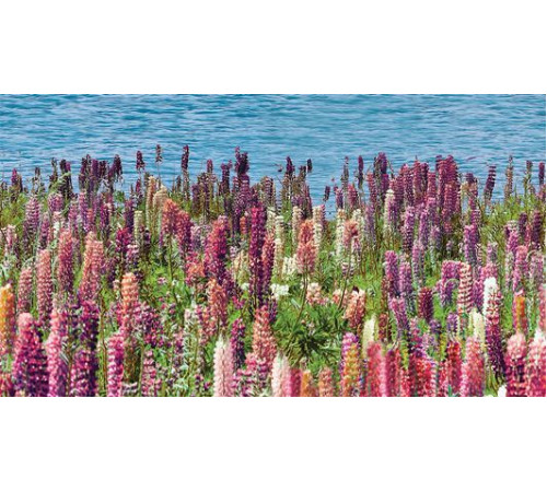 Декор Ceradim Flora 25х45 см КВС16Flora