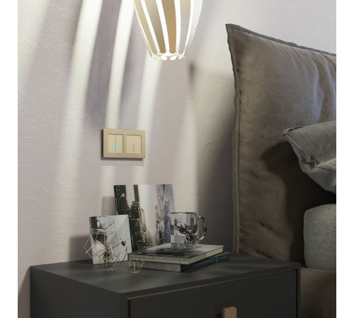 Сенсорный выключатель двухклавишный с подсветкой 1000 Вт (шампань) W4520011