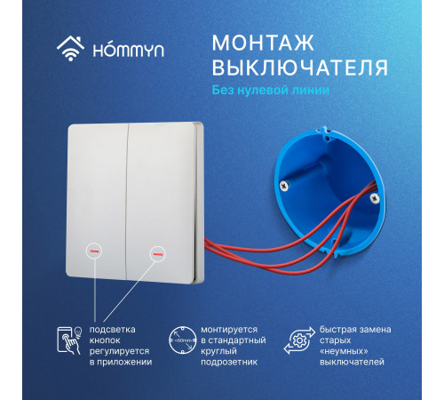 Комплект из двух умных двухклавишных выключателей HOMMYN Zigbee 2SWZBNN02W