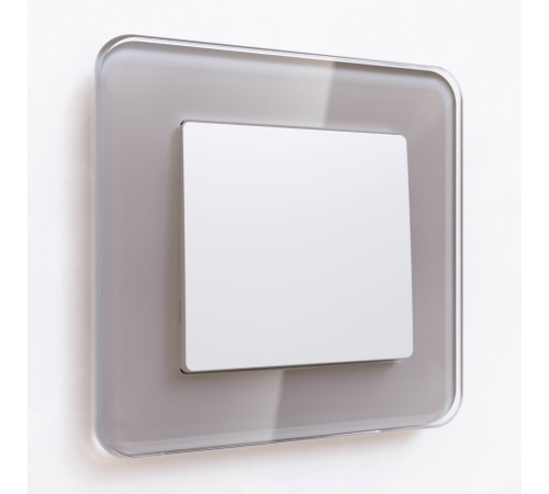 Выключатель одноклавишный проходной (белый матовый) W1112061