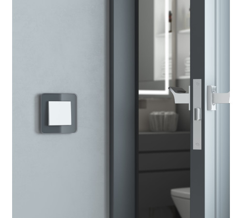 Выключатель одноклавишный проходной (белый матовый) W1112061