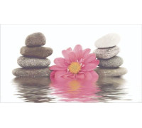 Декор Ceradim Stones 1 25х45 см КВС16Stones1