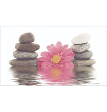 Декор Ceradim Stones 1 25х45 см КВС16Stones1