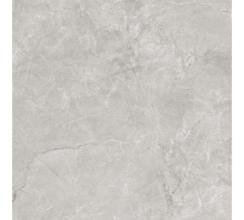 Керамогранит Laparet Pluto Silver светло-серый 60x60 см матовый SG625820R