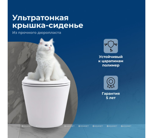 Унитаз подвесной Aquanet Atago 2.0 W Rimless с сиденьем Soft Close 00243549